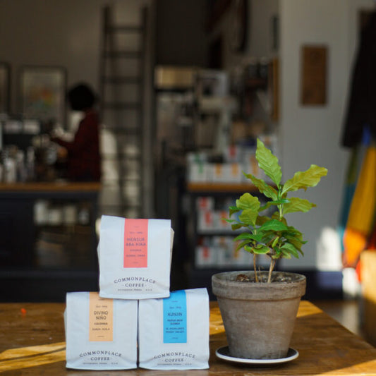 2020 Coffee Accountability Report