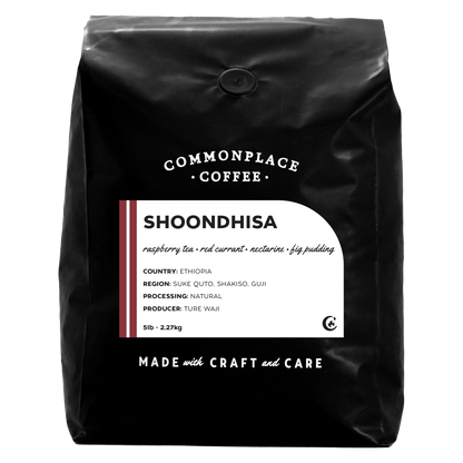 Shoondhisa • Ethiopia