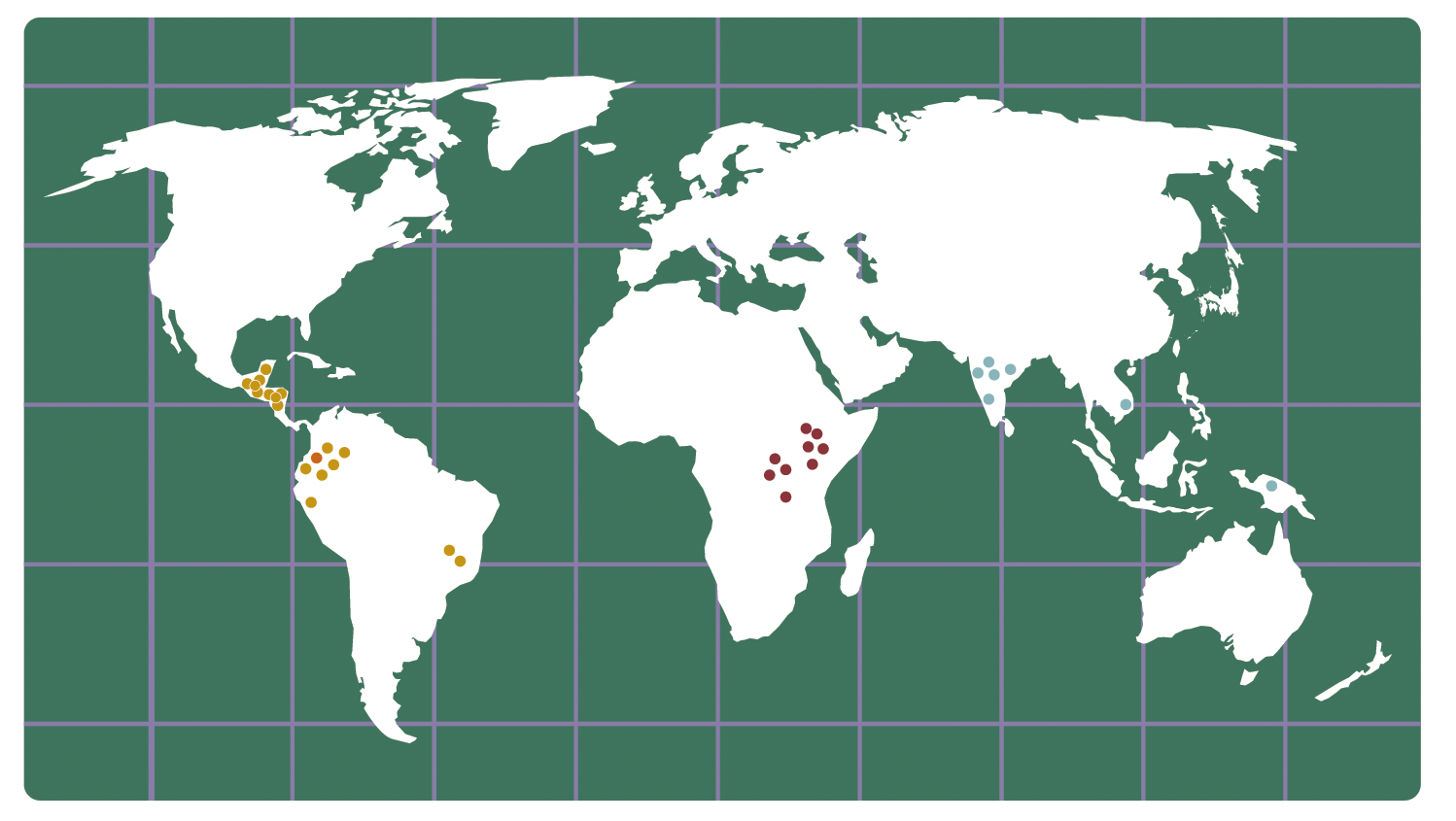 A map of the world with pins indicating which countries/regions Commonplace sourced our coffee from in 2024.